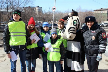 В Новосибирске прошла акция  "Пешеход – на  переход!"