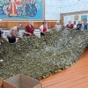 ТИХО СКАЗАЛА "ВСТАВАЙТЕ НА ПОМОЩЬ" РОДИНА