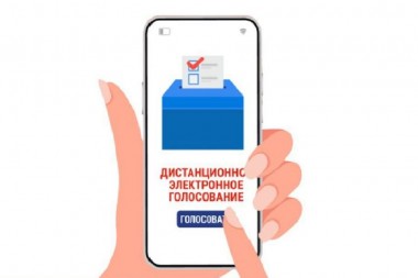 ДИСТАНЦИОННОЕ ГОЛОСОВАНИЕ: ПЛЮСЫ  И МИНУСЫ