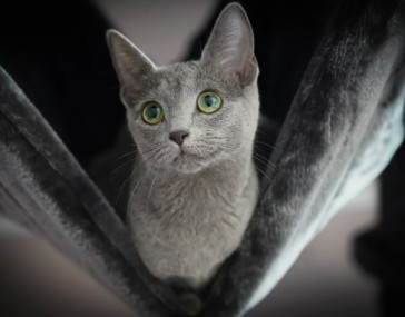 В ДУРКЕ ВСЁ СТАБИЛЬНО